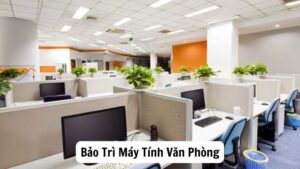 Tầm Quan Trọng Của Việc Bảo Trì Máy Tính Văn Phòng