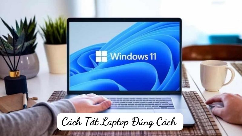 Cách Tắt Laptop Đúng Cách Và Các Lưu Ý Quan Trọng