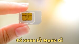 Số 0888 Là Mạng Gì? Những Điều Bạn Cần Biết