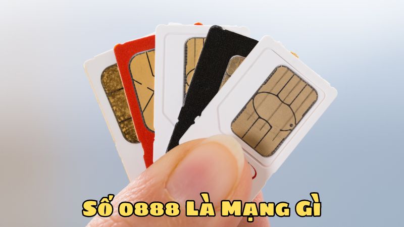 Số 0888 Là Mạng Gì